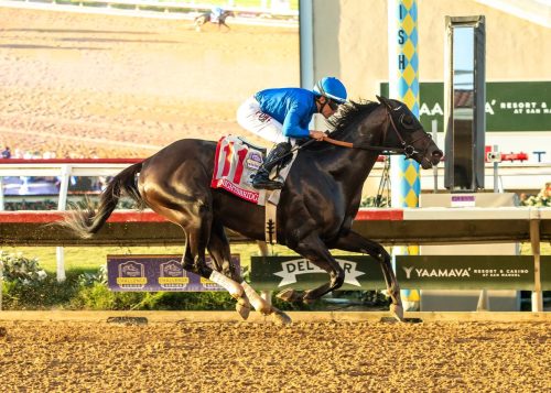 Del Mar Horse Racing