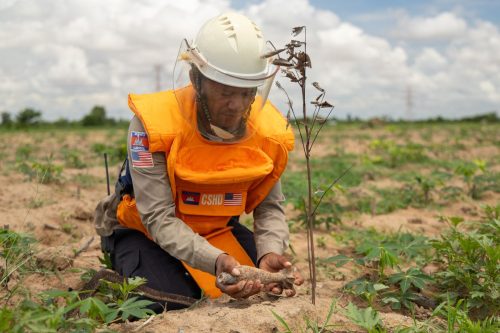 Southeast Asia Landmines