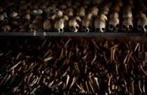 Netherlands Rwanda Genocide