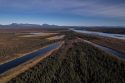 Climate Arctic Jungle