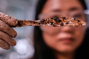 Climate Plastic Pollution Solutions