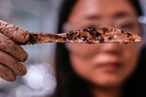 Climate Plastic Pollution Solutions