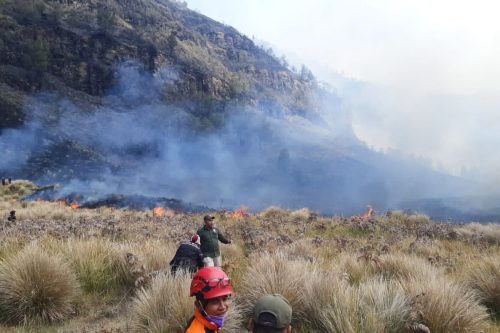 Indonesia Wildfire