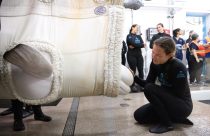 Beluga Whale Rescue