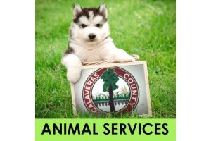 Calaveras County Animal Services logo