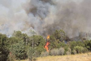 Gann Fire burning in the Valley Springs area of Calaveras County—CAL FIRE TCU photo