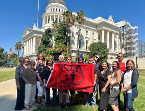 Sen. Marie Alvarado-Gil’s Killed In Action Flag Resolution Passes California Senate