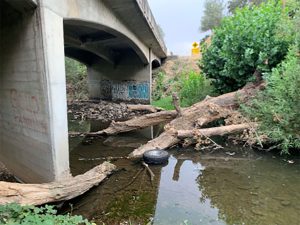 Mono Way undercrossing (Highway 108), and the Woods Creek Bridge deck on Highway 49—Caltrans Dist. 10 photo