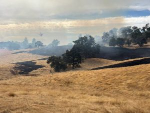 Update: Vegetation Fire In Angels Camp Area