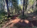 Finished trails—STF photo