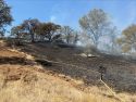 Ladera Fire burning along Highway 132 in Tuolumne County—TCFD photo