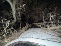 Crash off Campo Seco Road in the Valley Springs area of Calaveras County—CCF photo