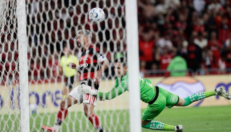 Brazil Ecuador Copa Libertadores Soccer