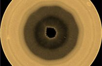 Saturn South Pole