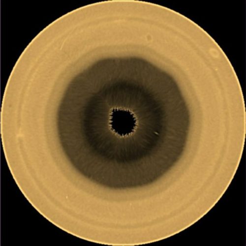 Saturn South Pole