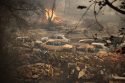 Algeria Wildfires