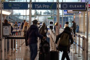 TSA Airport Gates Access