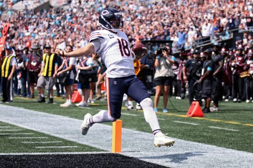 Bears Panthers Football