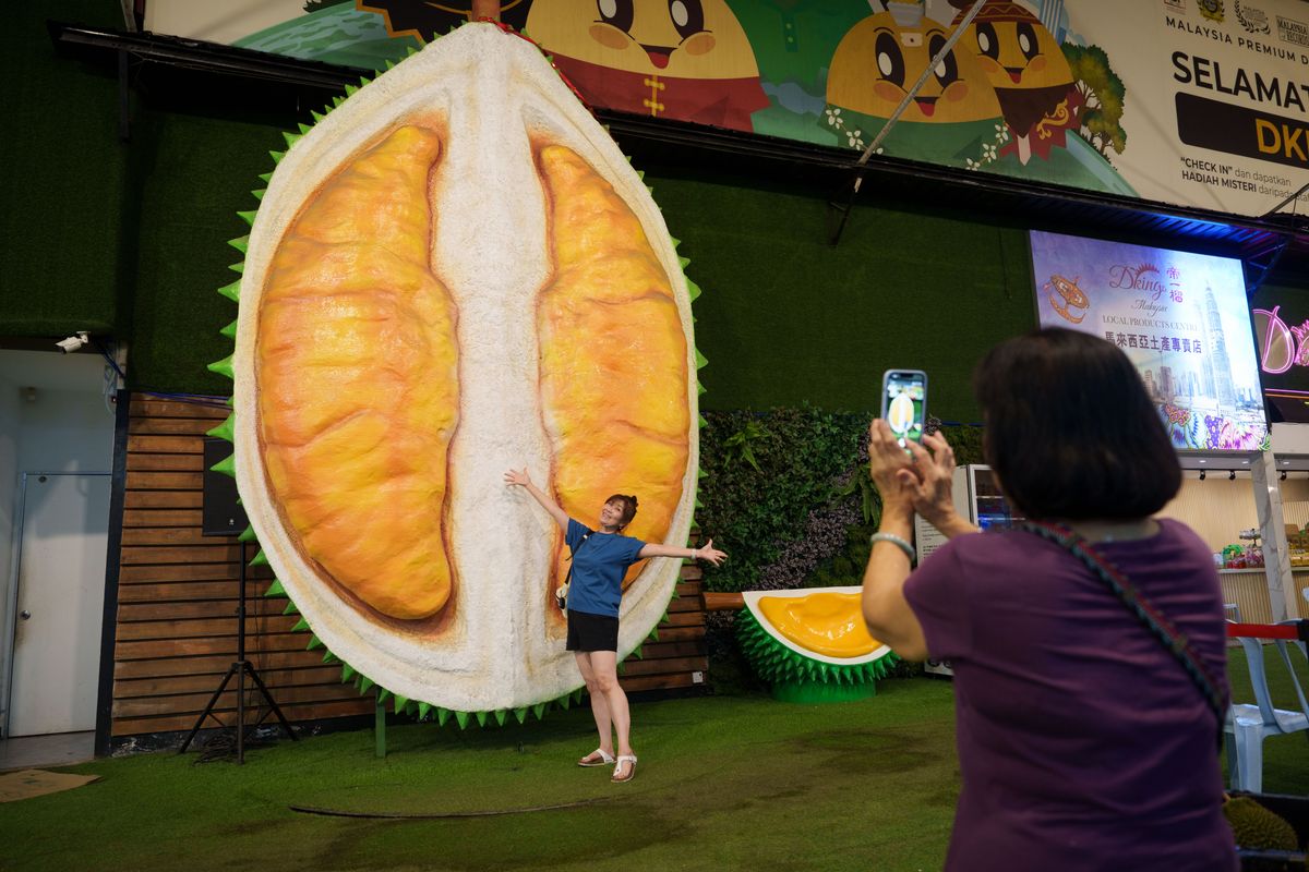 mymotherlode.com - AP News - Malaysians' efforts to elevate durian industry, in photos