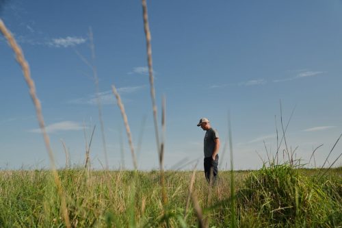 APTOPIX Climate Perennial Grains