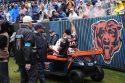APTOPIX Vikings Bears Football