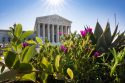 Trump Supreme Court Wins and Losses