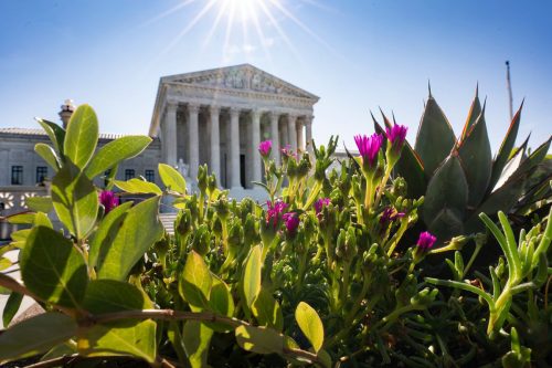Trump Supreme Court Wins and Losses