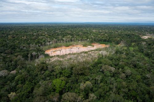 Climate Environmental Defenders Report
