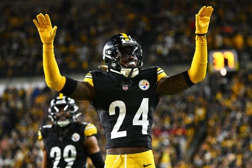 Steelers Porter Football
