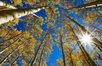 Equinox Solstice Explainer