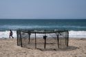 Rare Turtle Nests