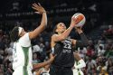 Storm Aces Basketball
