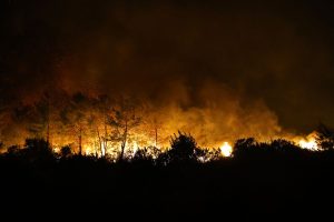 Turkey Wildfire