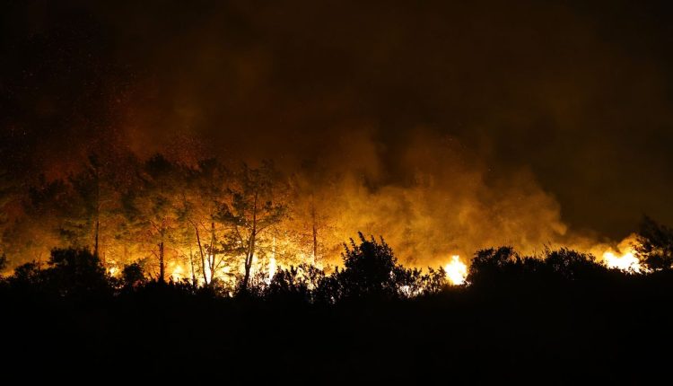 Turkey Wildfire