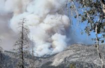 Yosemite Fire Helicopter Crash