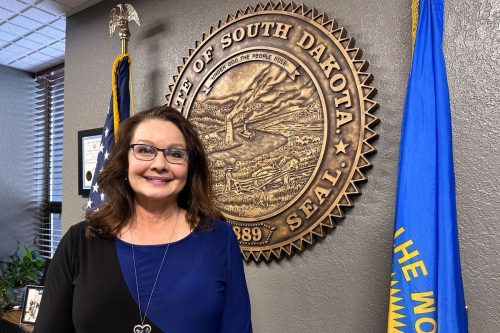 Election 2026 South Dakota Secretary of State