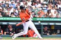 Rockies Tigers Baseball