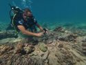 Lebanon Underwater Ruins