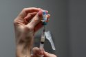 Measles Deaths