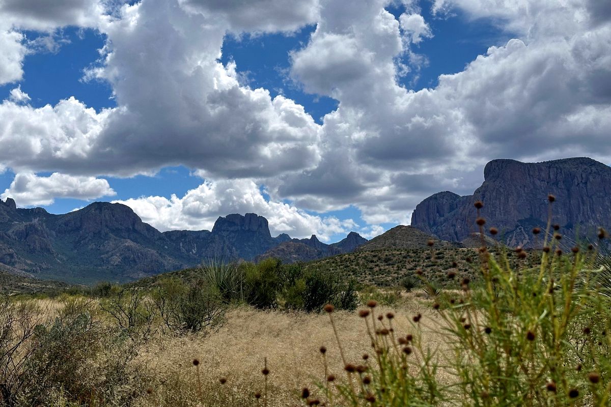 Trump Administration May Scale Back Big Bend Border Project