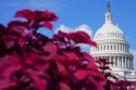 Congress