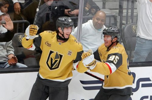 Blackhawks Golden Knights Hockey