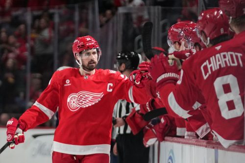 Red Wings Larkin Hockey