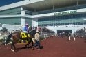 Belmont Park Reopening