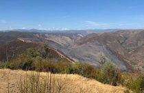 Colorado Fire burn scar near Midpines—CAL FIRE photo