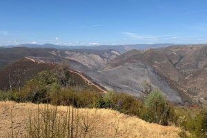 Colorado Fire burn scar near Midpines—CAL FIRE photo