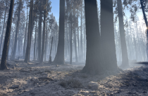 Dome Fire in Yosemite - NPS Image