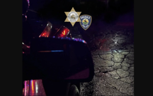 Oakdale PD Arrest