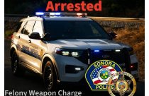 SPD arrest graphic