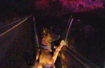 K9 Chiro assists with drug bust - CCSO Image